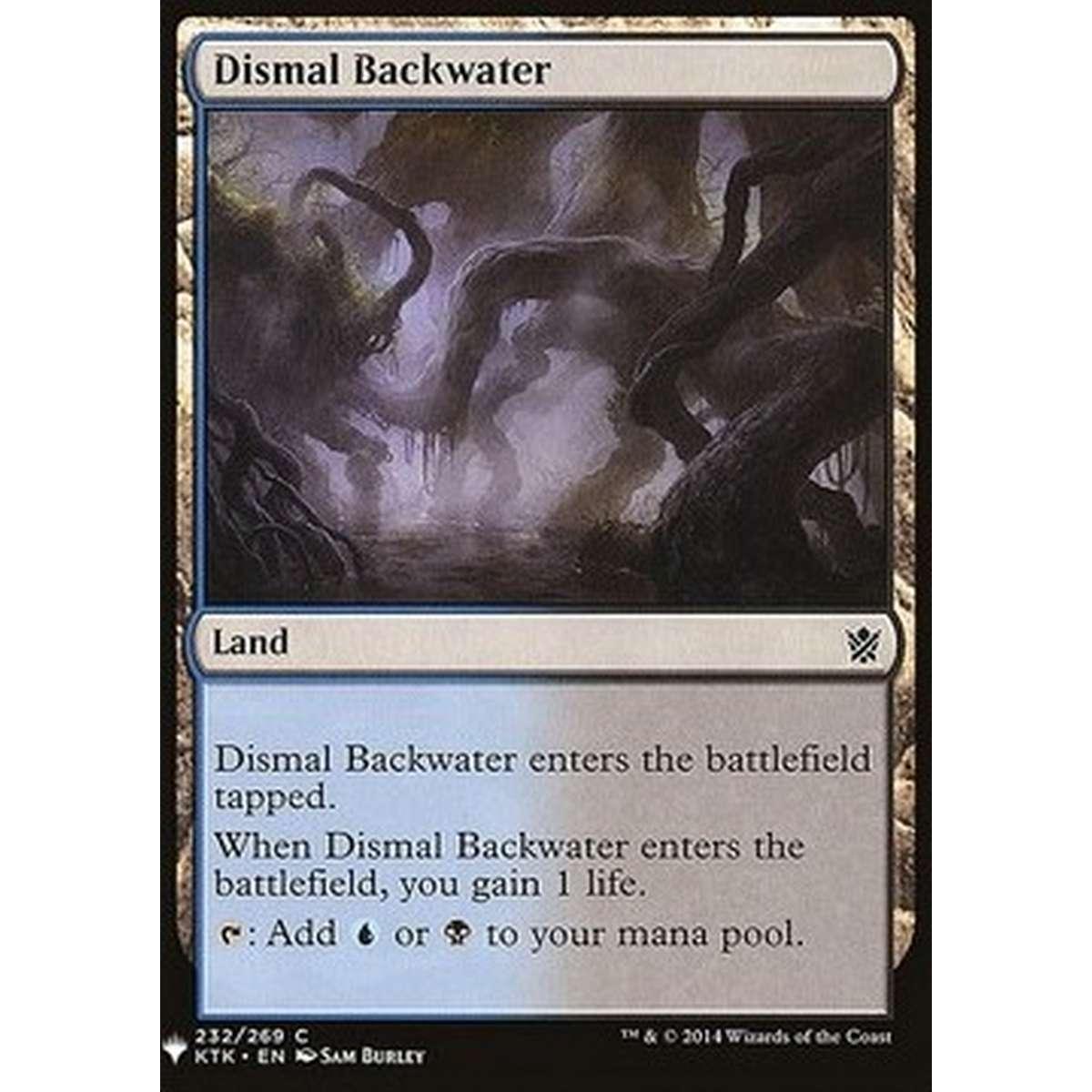 Dismal Backwater - Dismal Backwater - [MYS][NM]