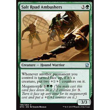 Salt Road Ambushers - Assalitori della Via del Sale - [DTK] [NM]