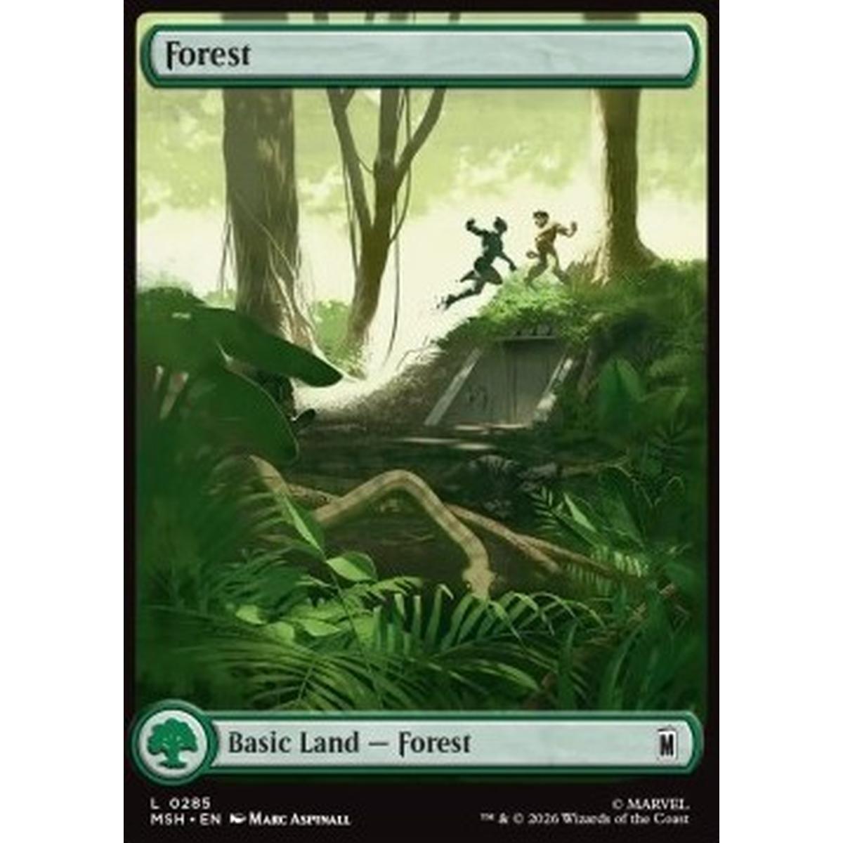 Forest (V.1) - Forest (V.1) - [MSH][NM]