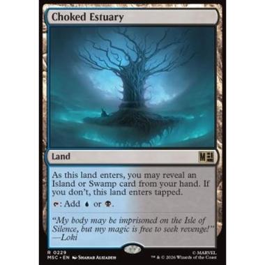 Choked Estuary - Estuario Soffocato - [MSC][NM]