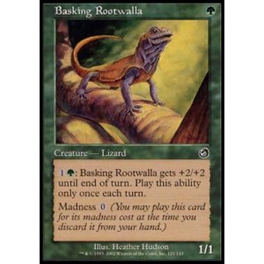 Basking Rootwalla - Lucertola Crogiolante - [TOR][GD]