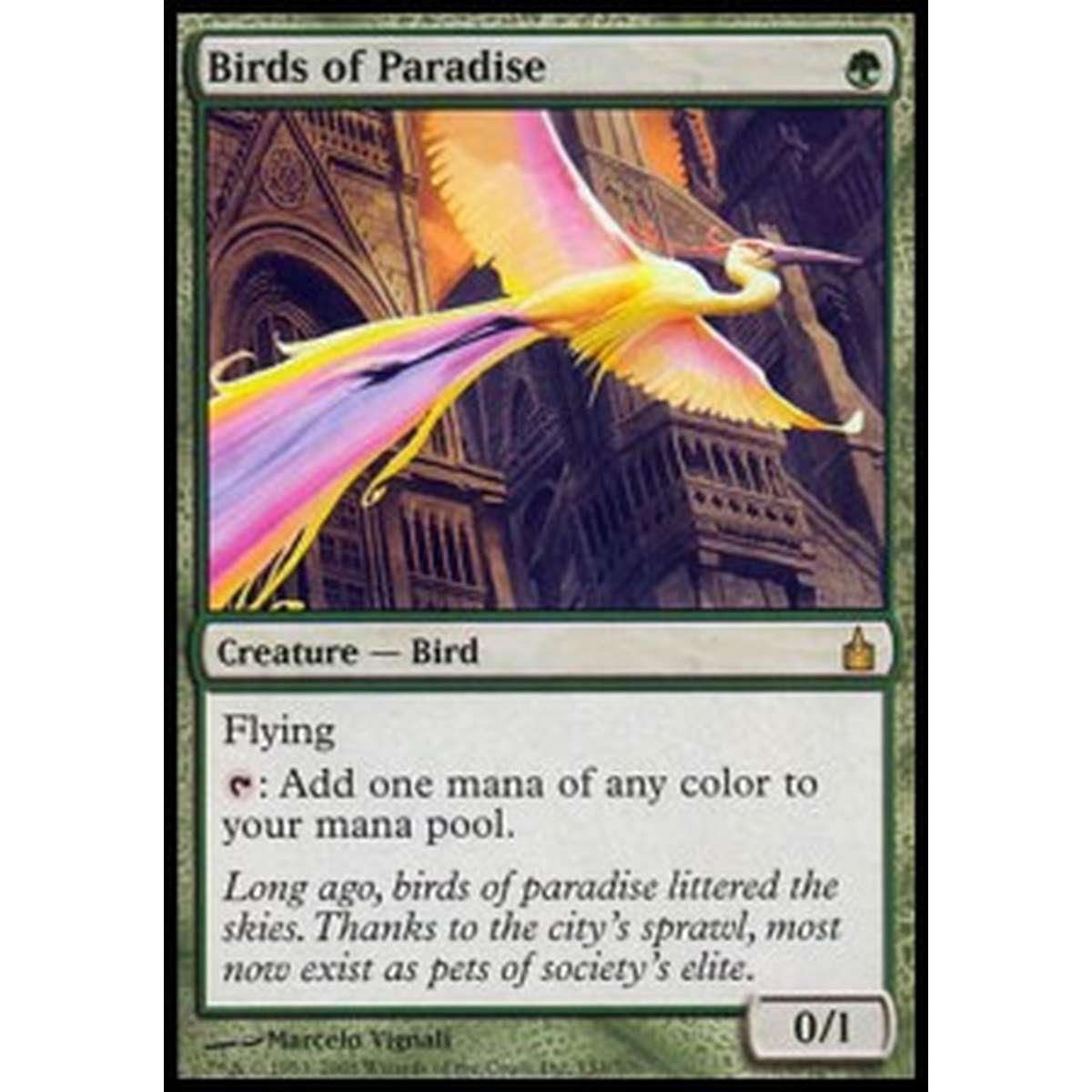Birds of Paradise - Birds of Paradise - [RAV][GD]