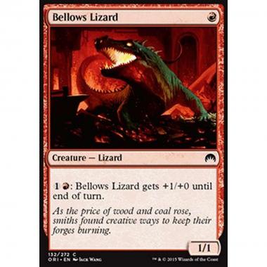 Bellows Lizard - Lucertola a Soffietto - [ORI] [NM]