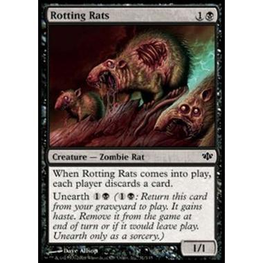 Rotting Rats - Ratti in Decomposizione - [CONF][EX]