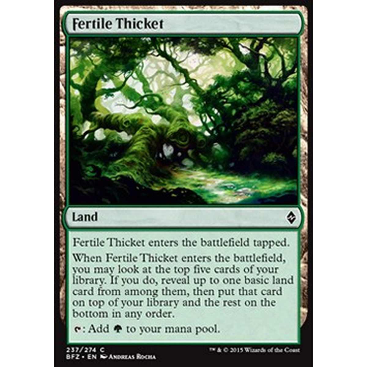 Fertile Thicket - Boschetto Fertile - [BFZ] [NM]
