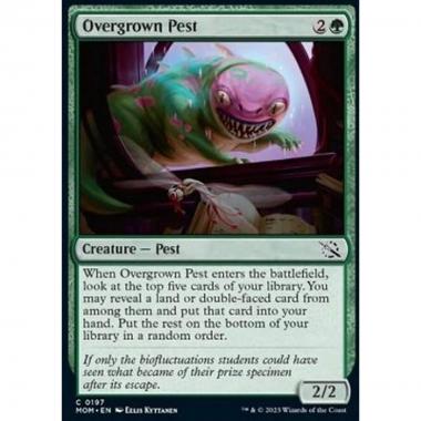 Overgrown Pest - Overgrown Pest - [MOM] [NM]
