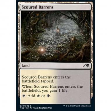 Scoured Barrens - Scoured Barrens - [NEO] [NM]