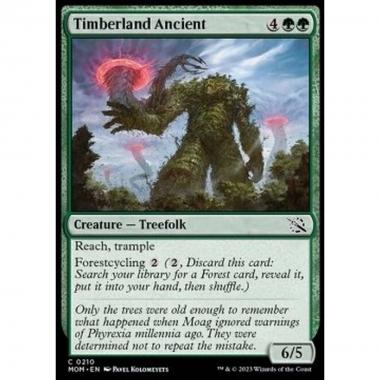 Timberland Ancient - Timberland Ancient - [MOM] [NM]