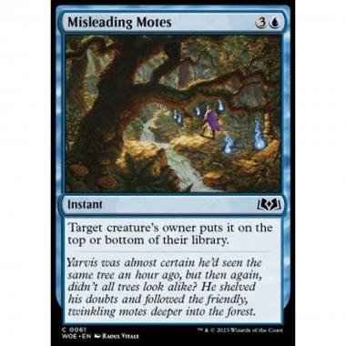 Misleading Motes - Misleading Motes - [WOE] [NM]