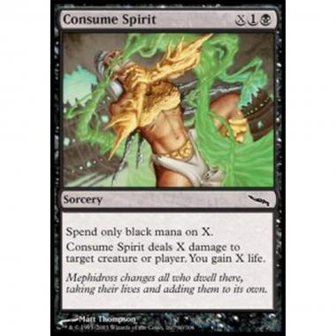 Consume Spirit - Consume Spirit - [MRD] [EX]