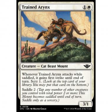 Trained Arynx - Trained Arynx - [OTJ] [NM]