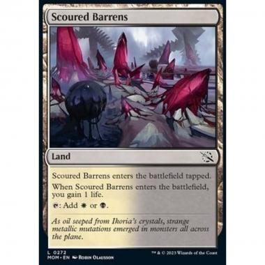 Scoured Barrens - Scoured Barrens - [MOM] [NM]