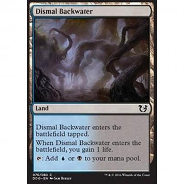 Dismal Backwater - Dismal Backwater - [DDQ] [NM]