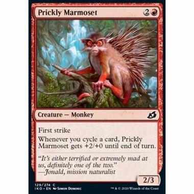 Prickly Marmoset - Marmosetta Pungente - [IKO] [NM]