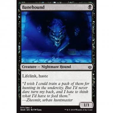 Banehound - Segugio del Flagello - [WAR] [NM]