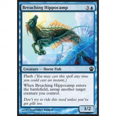 Breaching Hippocamp - Ippocampo Guizzante - [THS] [NM]