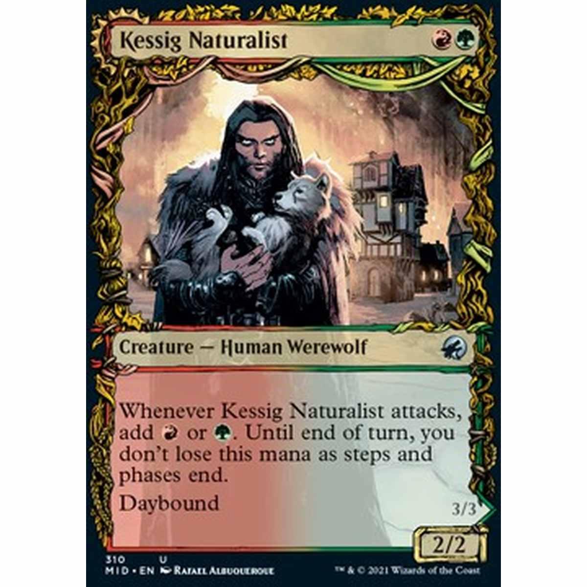 Kessig Naturalist // Lord of the Ulvenwald - Naturalista di Kessig // Signore di Ulvenwald - [XMID] [NM]