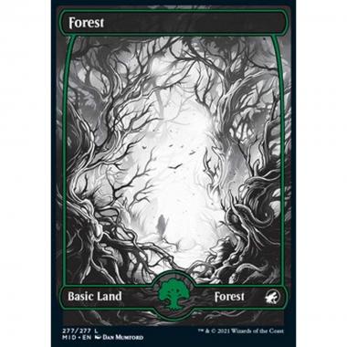 Forest (V.2) - Foresta (V.2) - [MID] [NM]