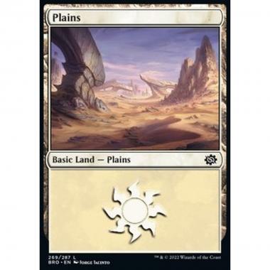 Plains (V.4) - Plains (V.4) - [BRO] [NM] [Foil]