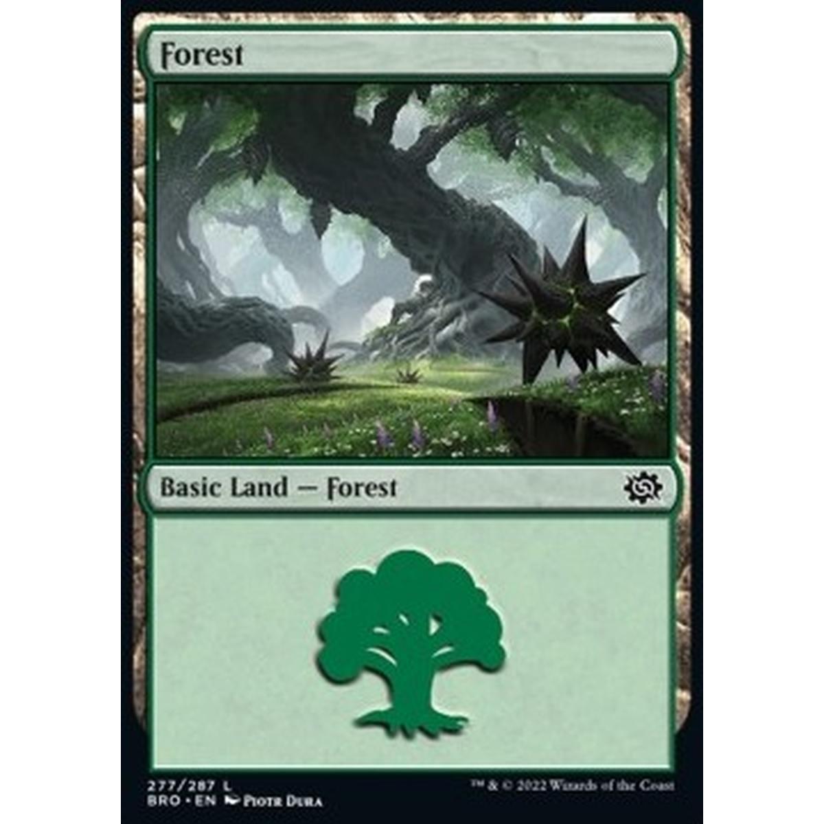 Forest (V.4) - Forest (V.4) - [BRO] [NM] [Foil]