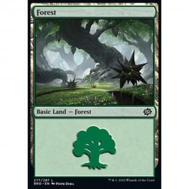 Forest (V.4) - Forest (V.4) - [BRO] [NM] [Foil]