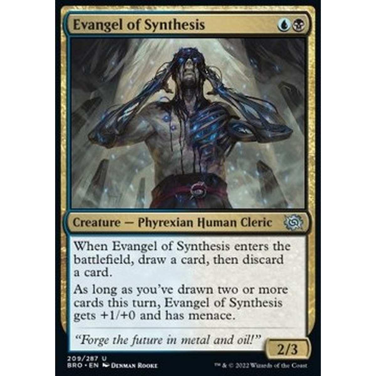 Evangel of Synthesis - Evangel of Synthesis - [BRO] [NM]
