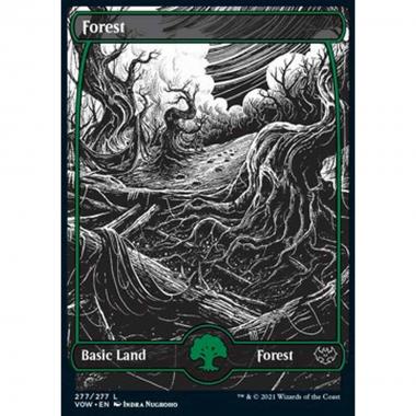 Forest (V.2) - Foresta (V.2) - [VOW] [NM]