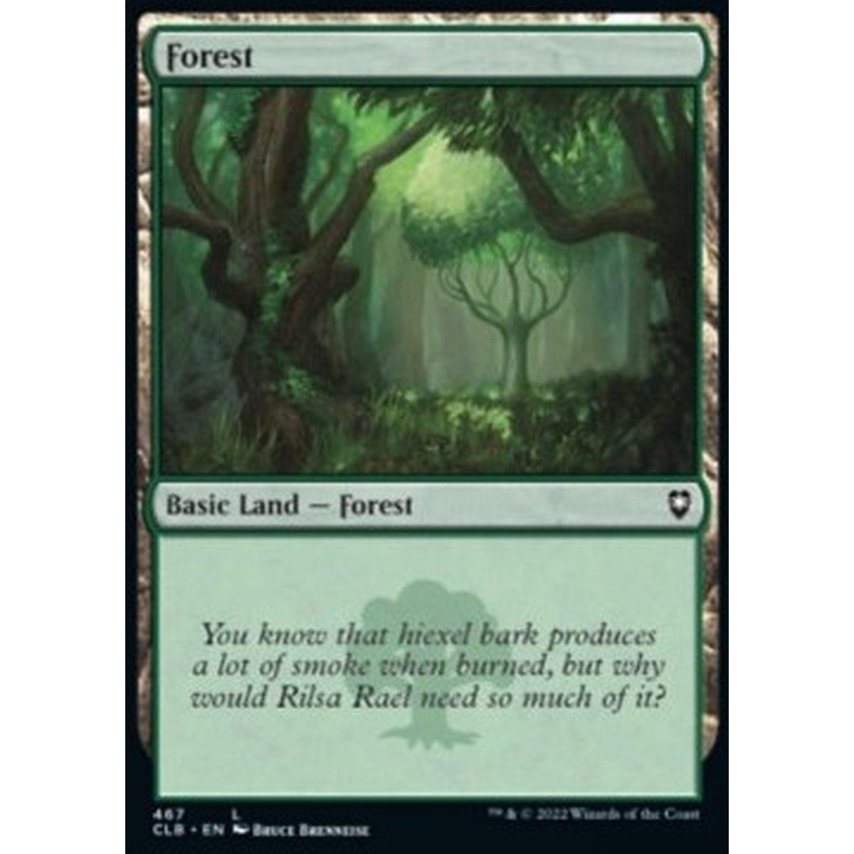 Forest (V.1) - Forest (V.1) - [XCLB] [NM] [Foil]