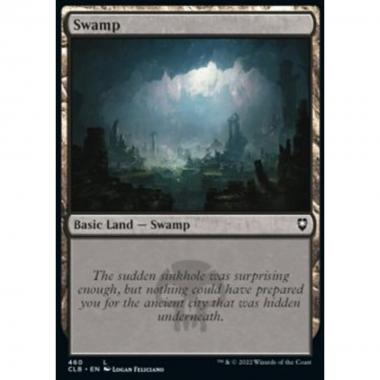 Swamp (V.2) - Swamp (V.2) - [XCLB] [NM] [Foil]
