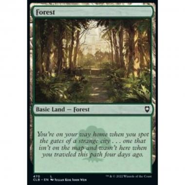 Forest (V.4) - Foresta (V.4) - [XCLB] [NM] [Foil]