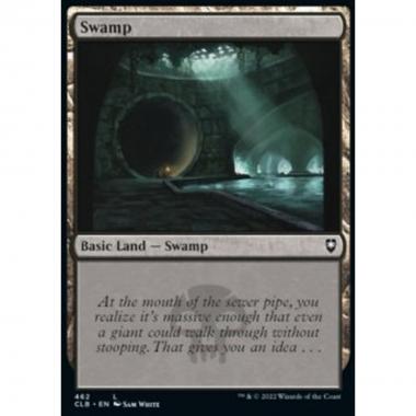 Swamp (V.4) - Palude (V.4) - [XCLB] [NM] [Foil]