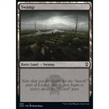 Swamp (V.1) - Swamp (V.1) - [XCLB] [NM] [Foil]