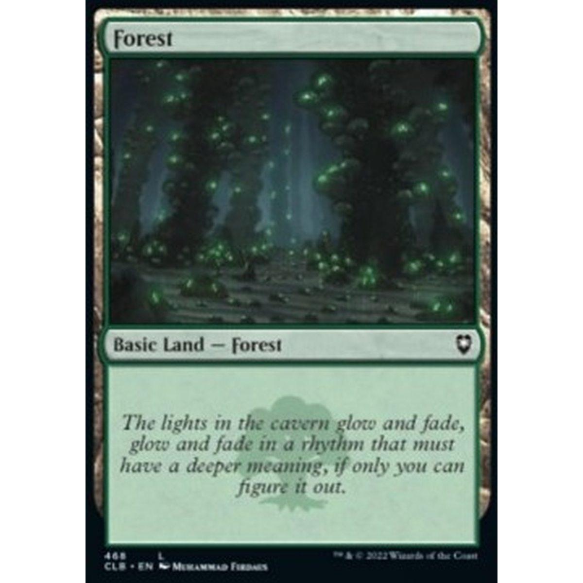Forest (V.2) - Forest (V.2) - [XCLB] [NM] [Foil]