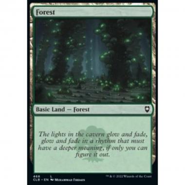 Forest (V.2) - Forest (V.2) - [XCLB] [NM] [Foil]