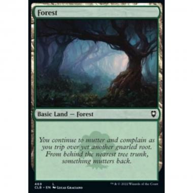 Forest (V.3) - Forest (V.3) - [XCLB] [NM] [Foil]
