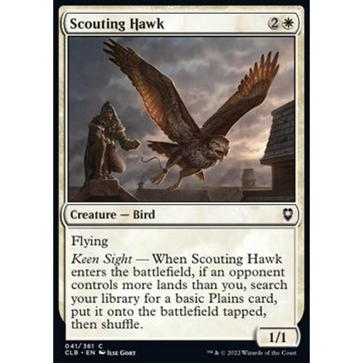 Scouting Hawk - Scouting Hawk - [CLB] [NM] [Foil]