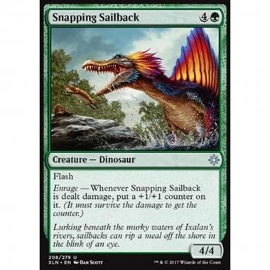 Snapping Sailback - Dorsocrestato Azzannatore - [XLN] [NM]