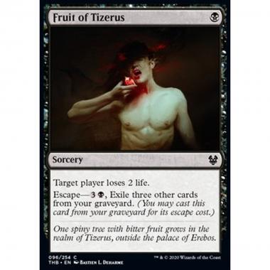 Fruit of Tizerus - Frutto di Tizerus - [THB] [NM]