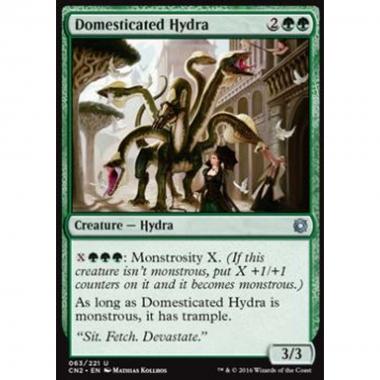 Domesticated Hydra - Domesticated Hydra - [CN2] [NM]