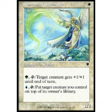 Sunscape Apprentice - Apprendista Soleologo - [INV] [NM]