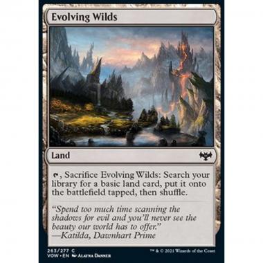Evolving Wilds - Terre Selvagge in Evoluzione - [VOW] [NM] [Foil]