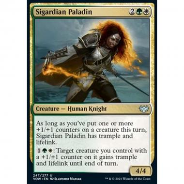 Sigardian Paladin - Paladina di Sigarda - [VOW] [NM]