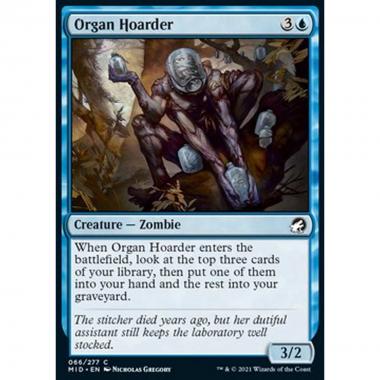 Organ Hoarder - Accaparratore di Organi - [MID] [NM] [Foil]