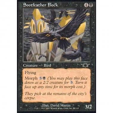 Sootfeather Flock - Sootfeather Flock - [LGN] [EX]