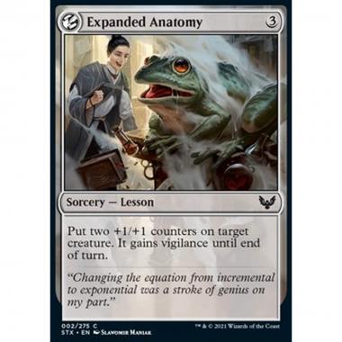 Expanded Anatomy - Expanded Anatomy - [STX] [NM] [Foil]