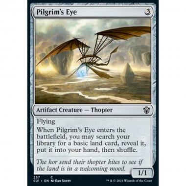 Pilgrim's Eye - Pilgrim's Eye - [C21] [NM]