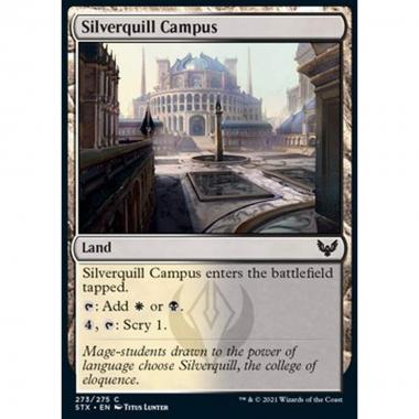 Silverquill Campus - Campus di Pennargento - [STX] [NM]