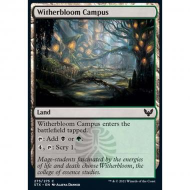 Witherbloom Campus - Campus di Germoglioscuro - [STX] [NM]