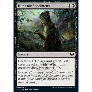 Hunt for Specimens - Ricerca di Campioni - [STX] [NM] [Foil]