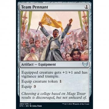 Team Pennant - Stendardo della Squadra - [STX] [NM]